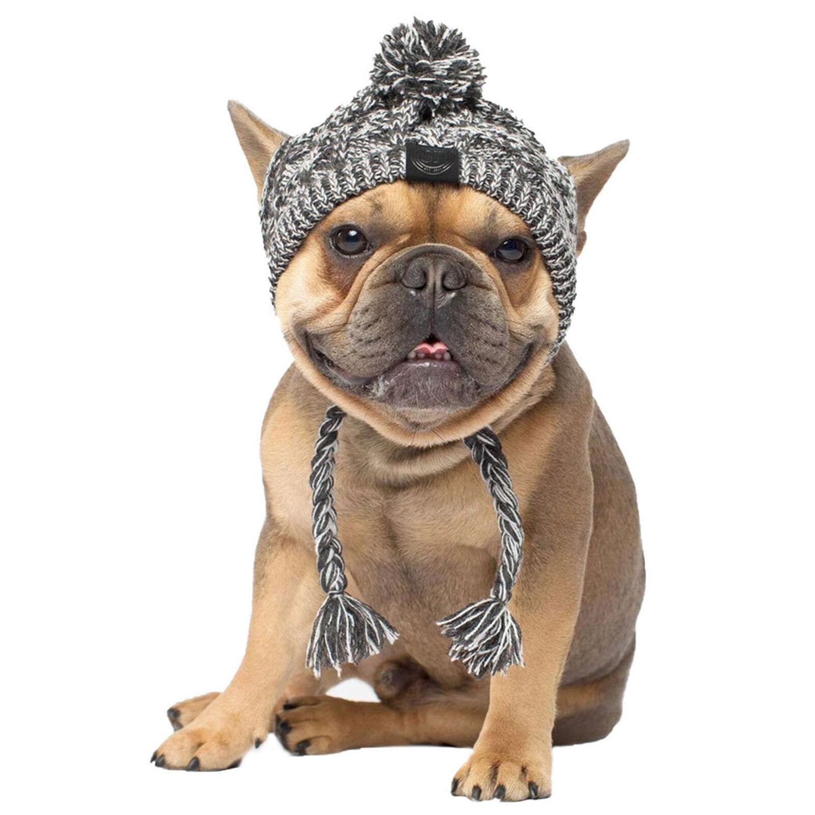 Winter Warm Dog Hats