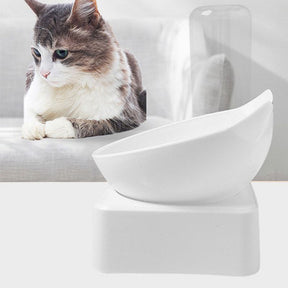 Pet Drinking Bowl