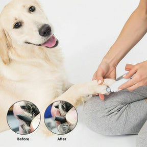 Electric Pet Nail Grinder