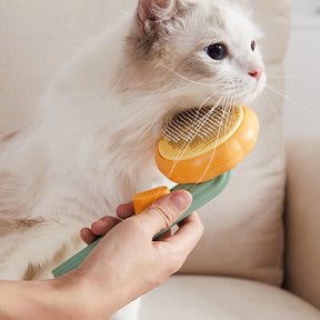 Pumpkin Pet Brush