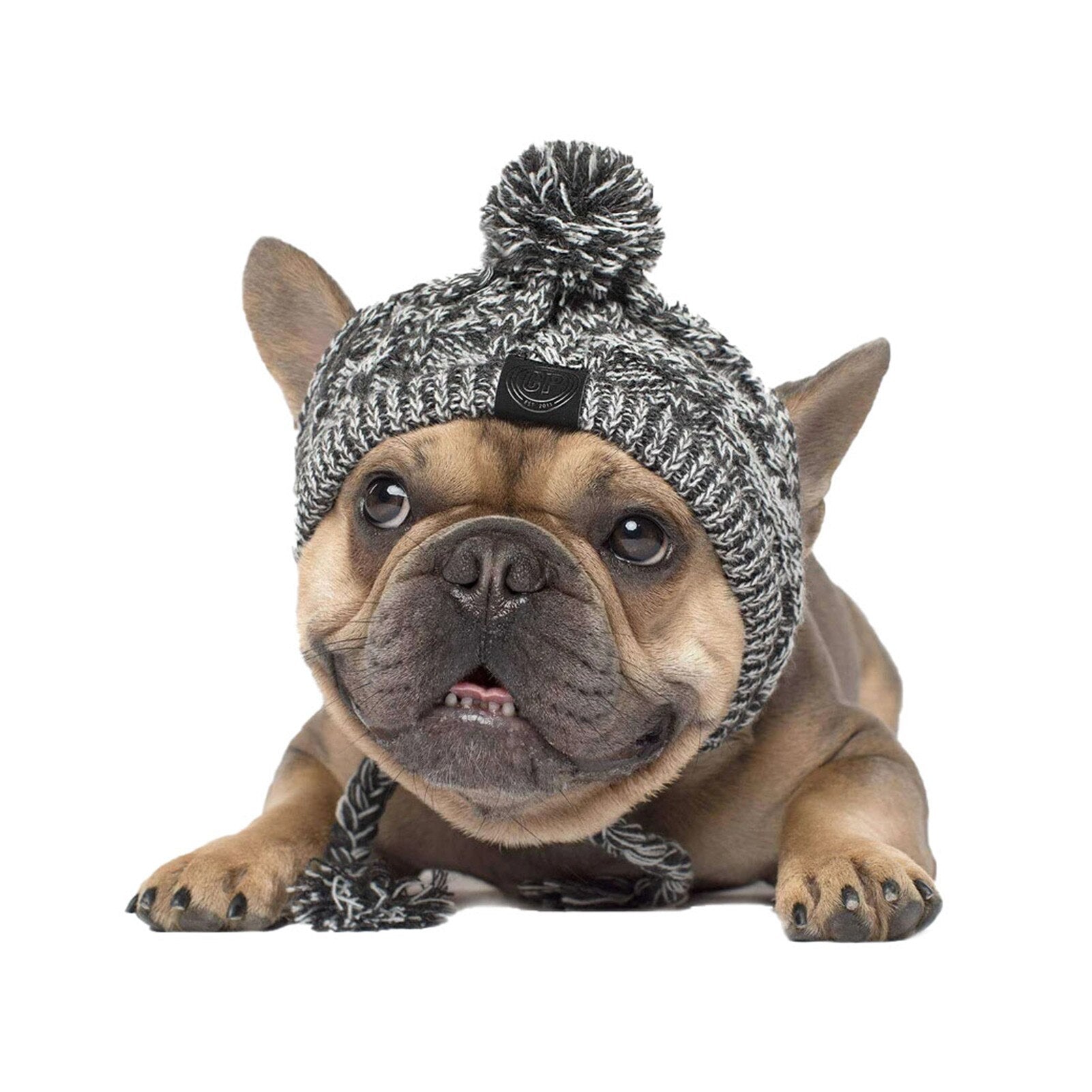 Winter Warm Dog Hats