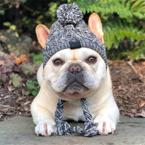 Winter Warm Dog Hats