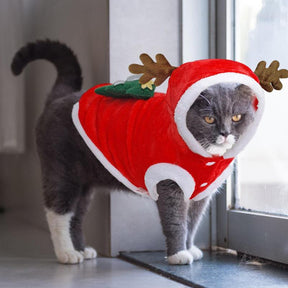 Pet Christmas Clothes